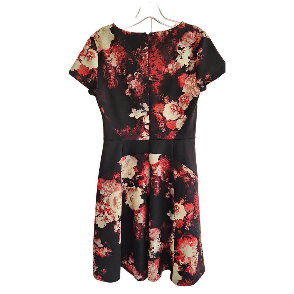 Adrianna Papell Floral Print Dress 6